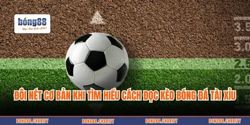 Đôi nét cơ bản cần biết trước khi tìm hiểu cách đọc kèo bóng đá tài xỉu